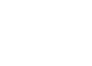 Joy in the Shadows